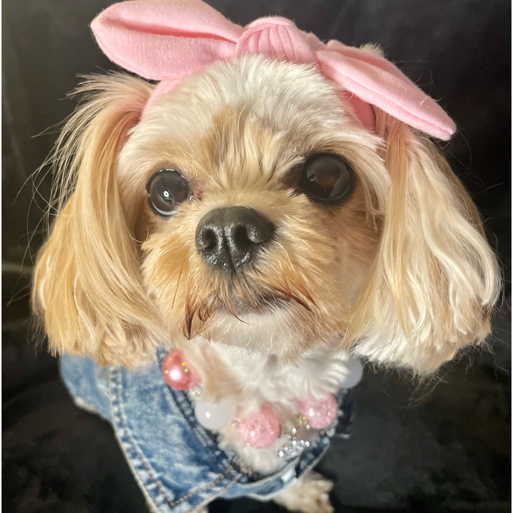 Meet your Posher, Sharon